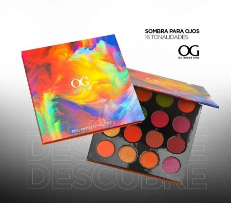 OG اي شدو 16 لون Pro Pigment Pallette2